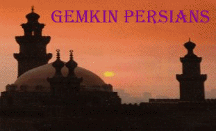 Gemkin Persians